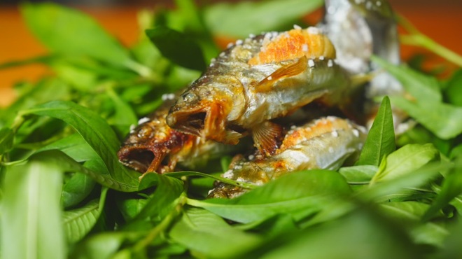和料理 蓮花寺 さいとう - メイン写真: