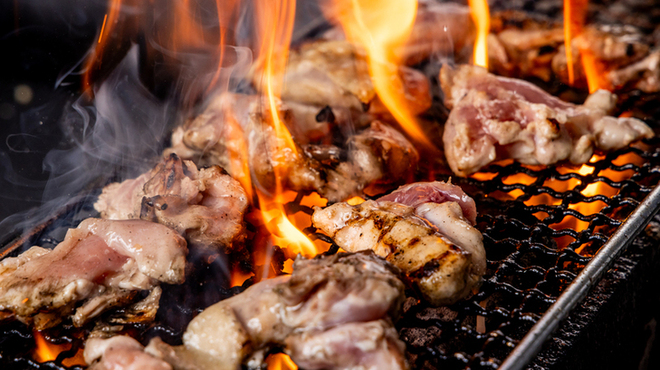 炭焼きびすとろ 肉たらし - メイン写真: