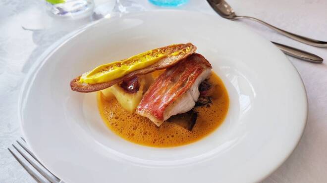 Le Grand Arbre - メイン写真: