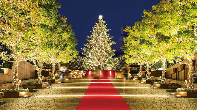 代官山焼肉 kintan - メイン写真: