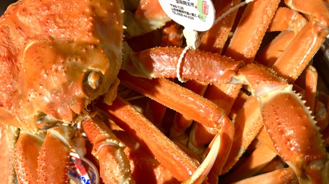 仙台藩 - メイン写真: