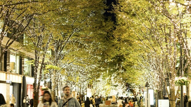 BISTRO DOUBLE - メイン写真: