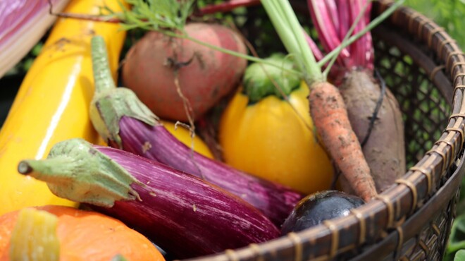 山梨レストラン メリメロ - メイン写真: