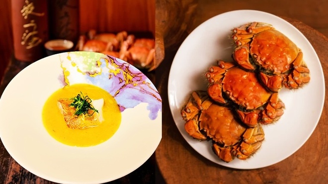 MOON FOREST - メイン写真: