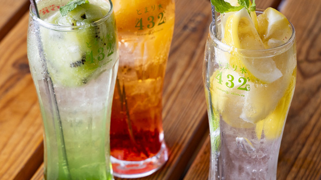 野菜とお鍋と揚げもんと とまり木432” - メイン写真: