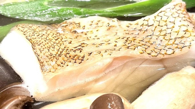 小熊 - メイン写真: