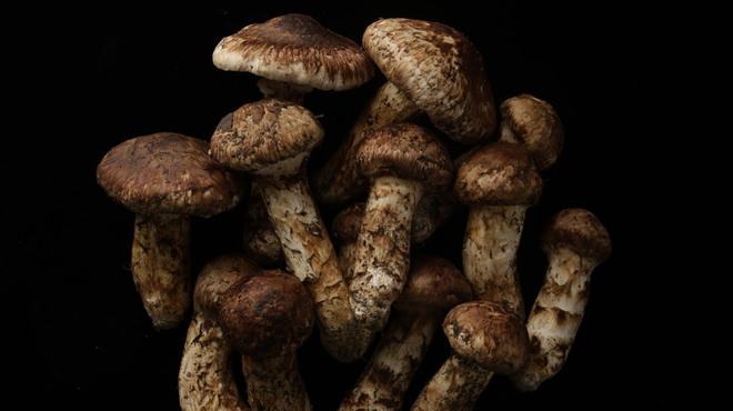 mærge - メイン写真: