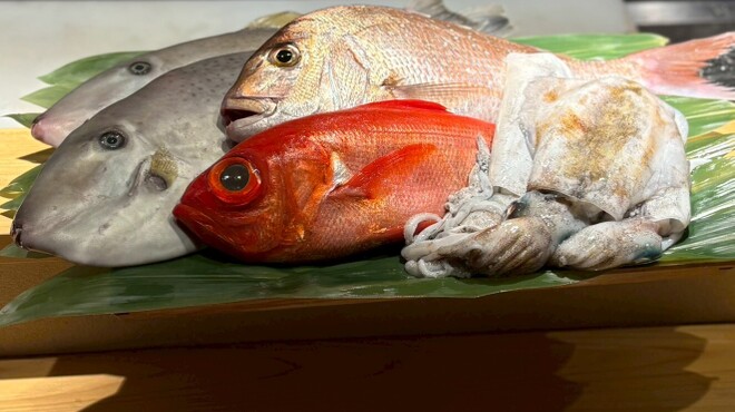 炭火割烹 麻布龍土町 - メイン写真: