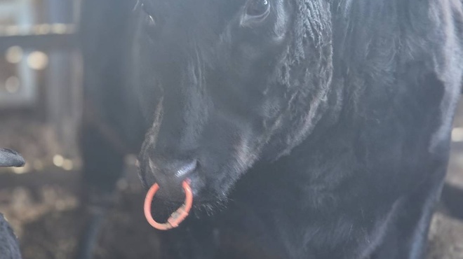 MARCO - メイン写真: