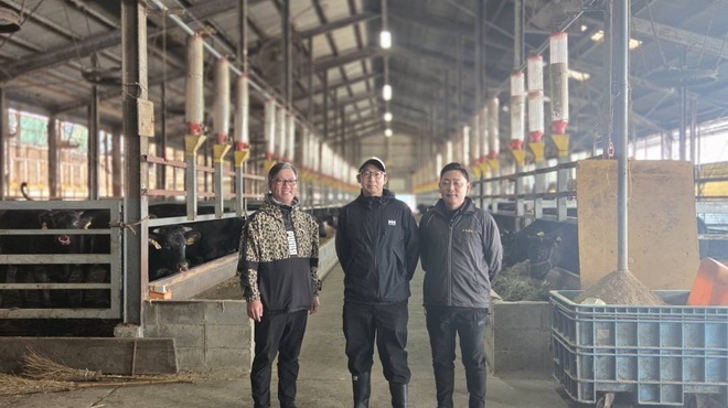 MARCO - メイン写真: