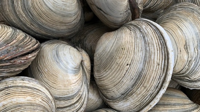 日比野市場鮮魚浜焼きセンター - メイン写真: