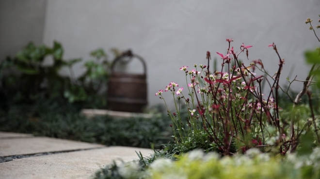 天ぷら 大坂屋 草哲 - メイン写真: