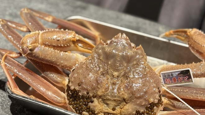 赤坂 港かっぽれ - メイン写真: