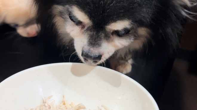 味ざん - メイン写真: