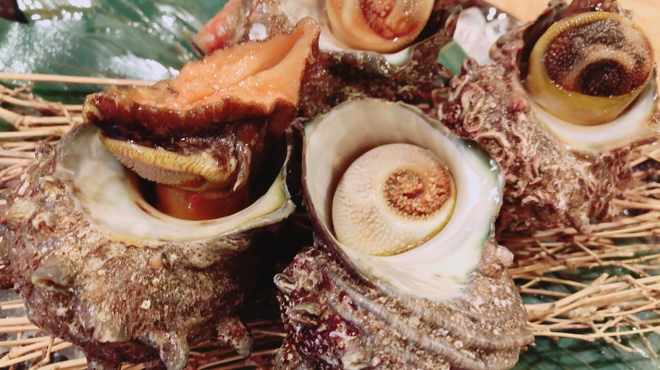 日比野市場鮮魚浜焼きセンター - メイン写真: