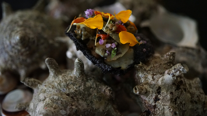 メシモ - メイン写真: