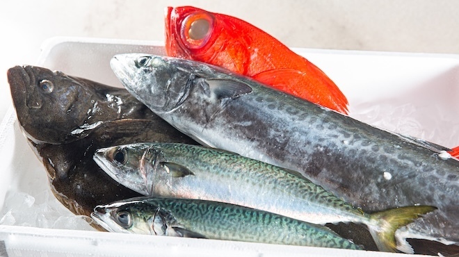 月 - メイン写真: