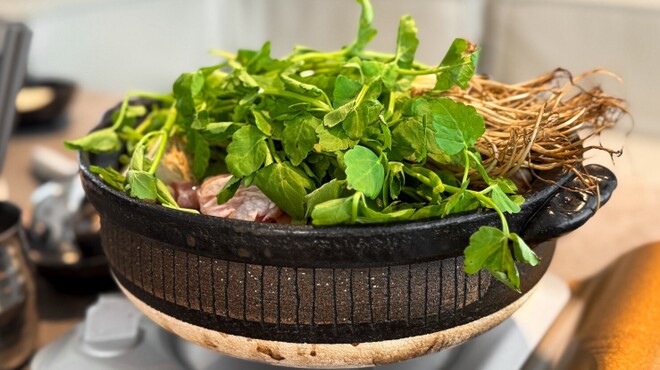 痛風 - メイン写真: