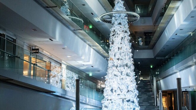 しゃぶしゃぶKINTAN 表参道店 - メイン写真: