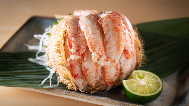 すし抱一 - メイン写真: