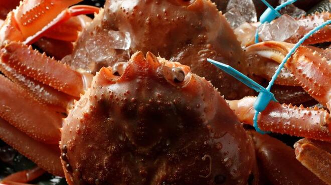 銀座方舟  大吟醸しずく店 - メイン写真: