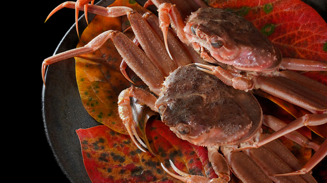 炭Kappo hirac - メイン写真: