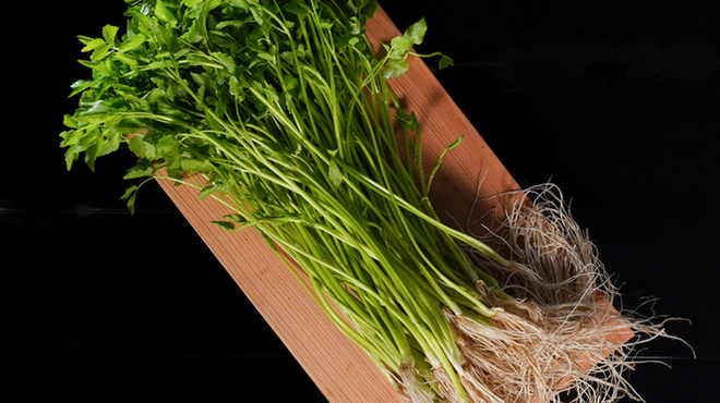 炭Kappo hirac - メイン写真: