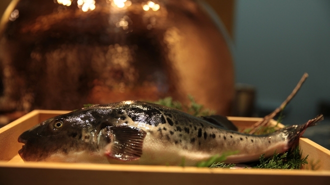 天ぷら 心斎橋 一哲 - メイン写真: