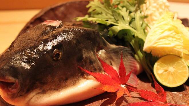 幸 - メイン写真: