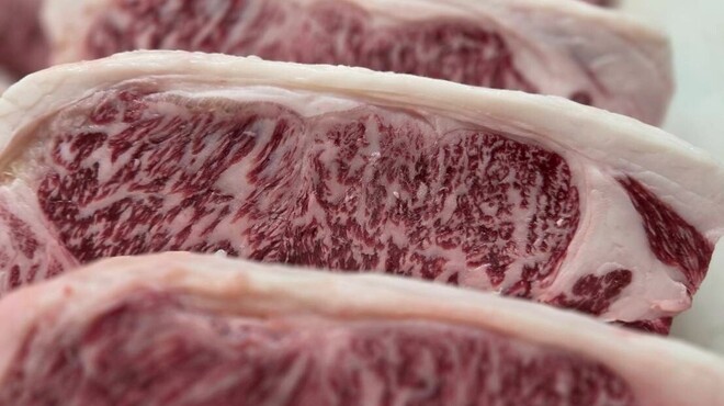 北新地はらみ 法善寺店 - メイン写真: