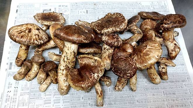 卯屋 - メイン写真: