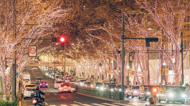 しゃぶしゃぶKINTAN 表参道店 - メイン写真: