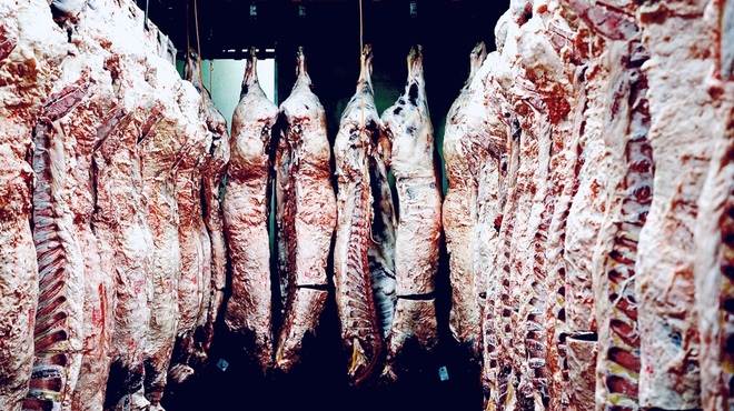 六花 - メイン写真: