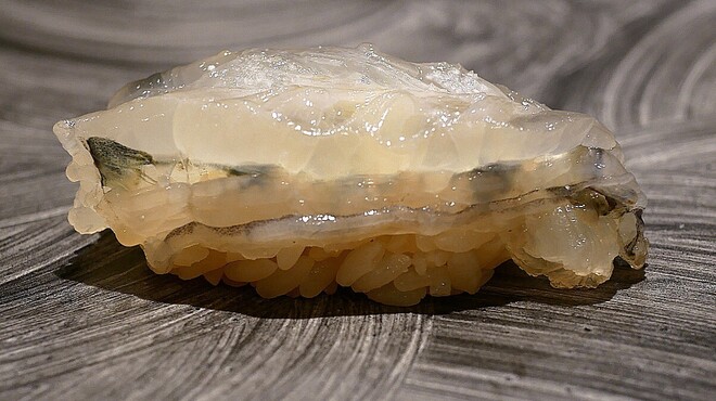 島津 - 料理写真: