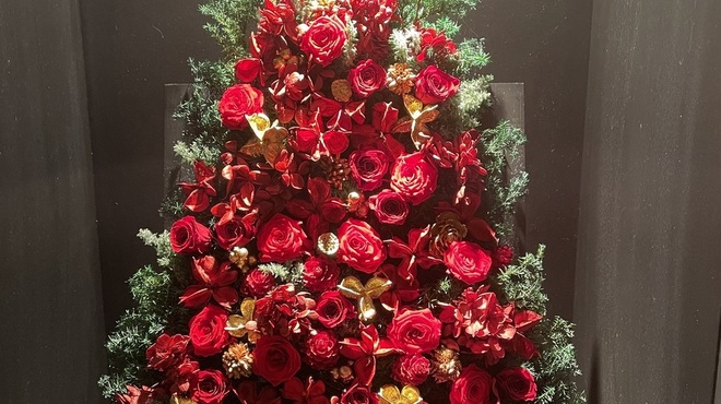 Mamorudini - メイン写真: