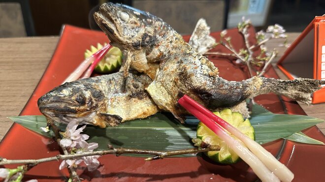全国銘酒居酒屋 JAPANESE BAR - メイン写真: