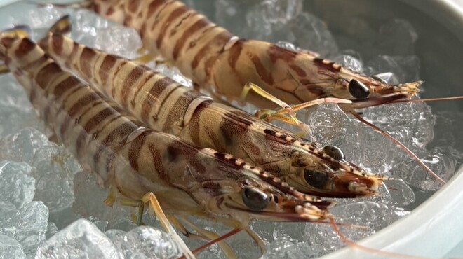 카키고야 이자카야 카키구루이.