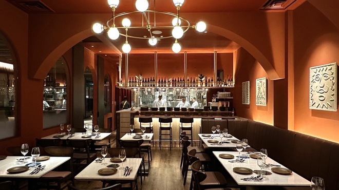 AHILYA INDIAN RESTAURANT - メイン写真: