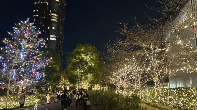 ハルヤマシタ 東京本店 - メイン写真: