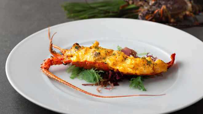 ザ・フジヤ - 料理写真: