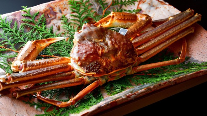 つる幸 知新庵 - メイン写真: