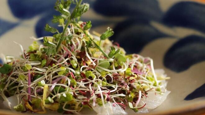 なっぱごちそう - メイン写真: