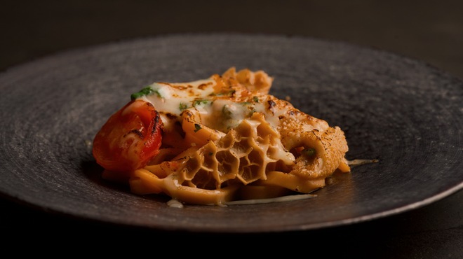 TOSAGE - メイン写真: