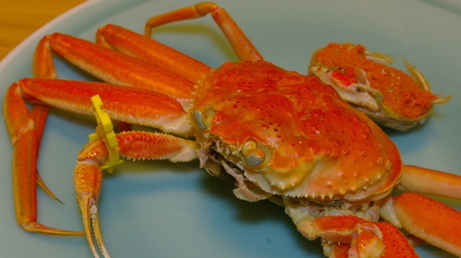 葉四季 - メイン写真: