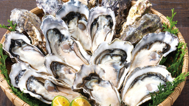 庄や - メイン写真: