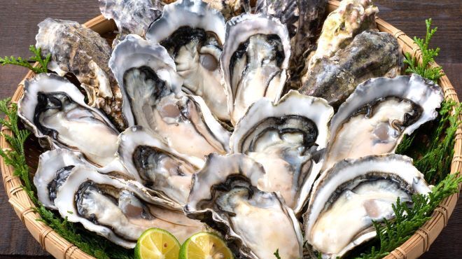 満天酒場 - メイン写真: