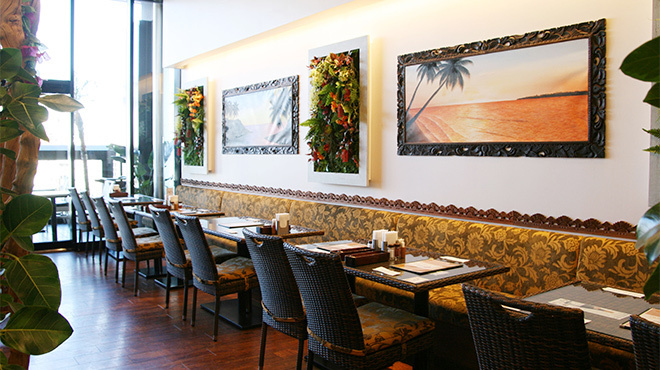 ディップパレス - メイン写真: