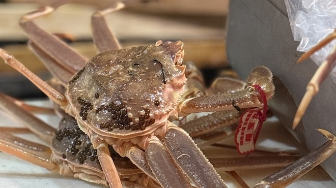 月波 - メイン写真: