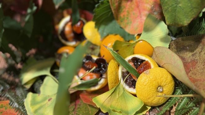 月波 - メイン写真: