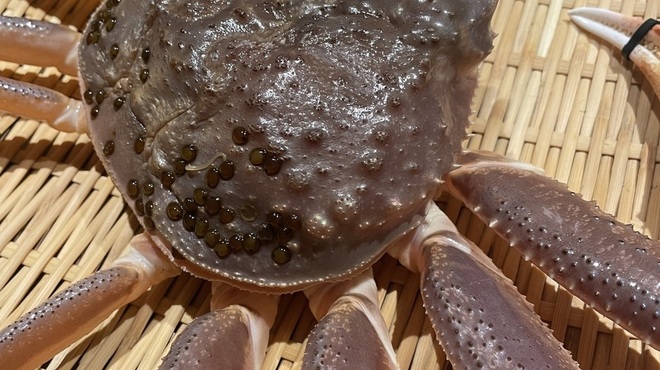 蔦乃屋 - メイン写真: